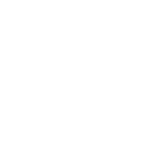 Предмет Hollow Point Ward (Разрывная оборона)