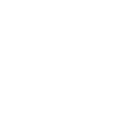 Предмет Healing Rite (Обряд лечения)
