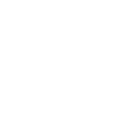 Crow Familiar (Ворон-фамильяр)