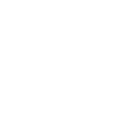 Death Slam (Смертельный бросок)
