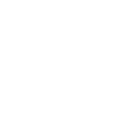 Singularity (Сингулярность)