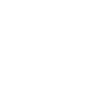 Flight (Полёт)