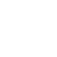 Предмет Bullet Armor (Пулевая броня)