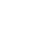Предмет Debuff Reducer (Уменьшитель эффектов)