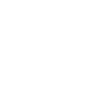 Предмет Tesla Bullets (Тесла-пули) Предмет Tesla Bullets (Тесла-пули)