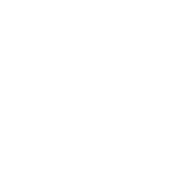 Предмет Extra Charge (Добавочные заряды) Предмет Extra Charge (Добавочные заряды)