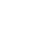 Предмет Restorative Shot (Живительный выстрел)