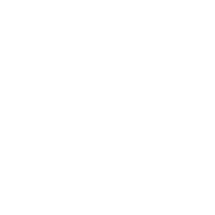 Предмет Rapid Recharge (Спешные заряды)