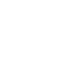 Предмет Toxic Bullets (Токсичные пули)